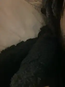 Snapshot of BBCboy365 chatting on 04-12-26, 10:48 BBCboy365 online show from 04-12-26, 10:48