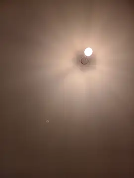 Dietosca online show from 04-13-26, 02:28