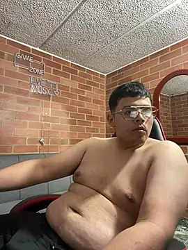 Snapshot of steef0_ chatting on 04-13-26, 05:13 steef0 online show from 04-13-26, 05:13