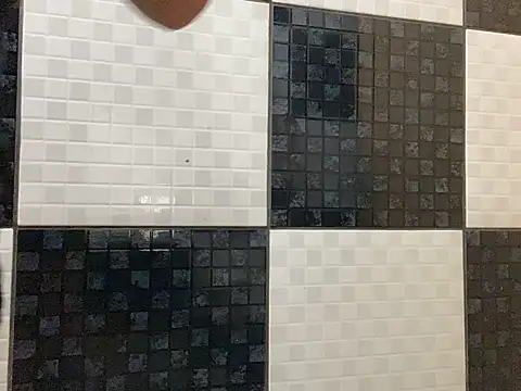 DignoDePutaria online show from 04-15-26, 01:07