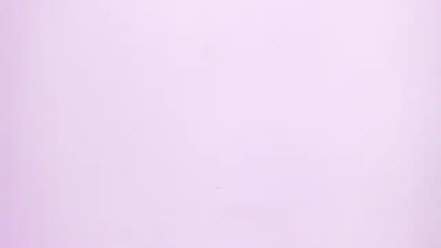 Natasha028  online show from 06-02-26, 11:34