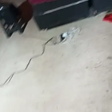  - - putinha -  online show from 04-24-26, 11:23