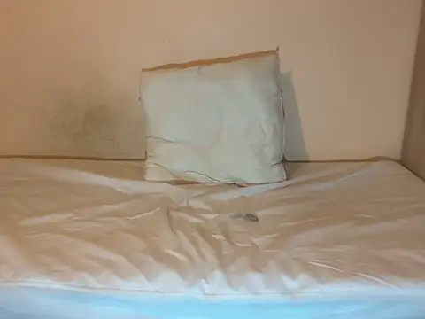 crazytranny online show from 01-18-25, 09:24