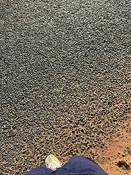 Sphe-2026 online show from 07-07-26, 06:47