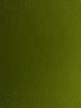dzshbh2005 online show from 05-08-26, 05:57