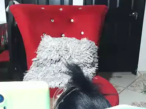 jannyheat online show from 01-17-25, 04:57