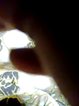 Snapshot of chirboys chatting on 05-28-26, 02:20 chirboys online show from 05-28-26, 02:20
