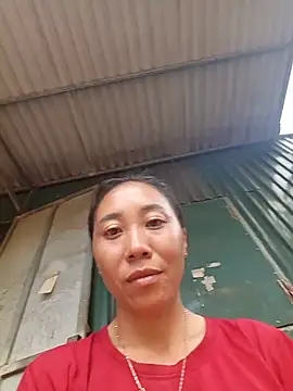 Jinli 01 online show from 05-29-26, 09:18