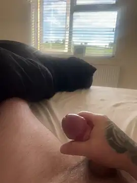hardcock0987allthetime1 online show from 05-31-26, 06:53
