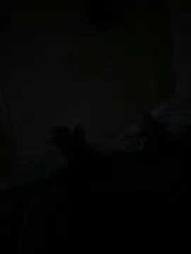 Timmy T online show from 05-15-26, 01:12