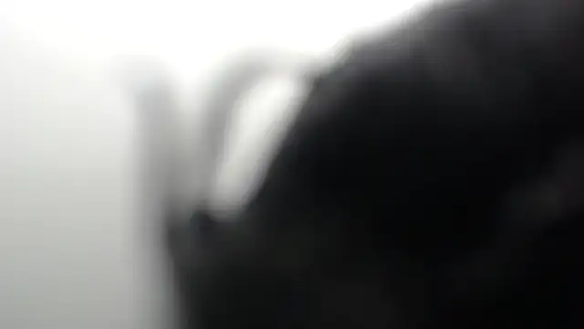 SCARLET ROUSE M online show from 05-27-26, 01:57
