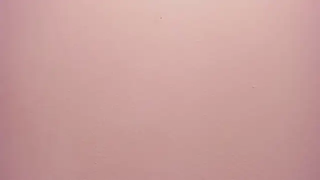 Snapshot of _anais_rose_ chatting on 05-30-26, 12:24 anais rose online show from 05-30-26, 12:24