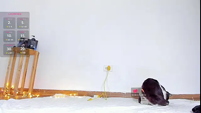 abilX online show from 01-24-25, 01:57