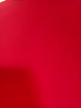 Maduro-Mariquita online show from 07-28-26, 07:04