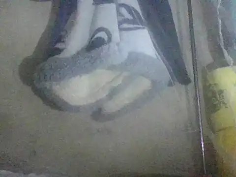 prettybelly online show from 05-26-26, 03:35
