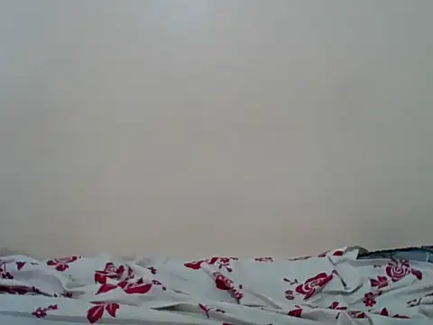Hornysmoker20 online show from 07-07-26, 06:47