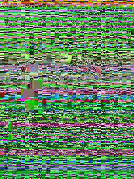 ck1998 02 online show from 06-28-26, 09:59
