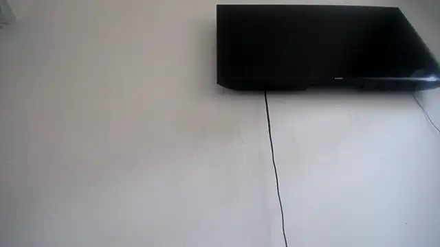 Fox Loves online show from 07-25-26, 08:28