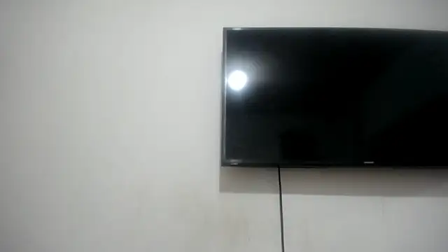 Fox Loves online show from 07-29-26, 11:25