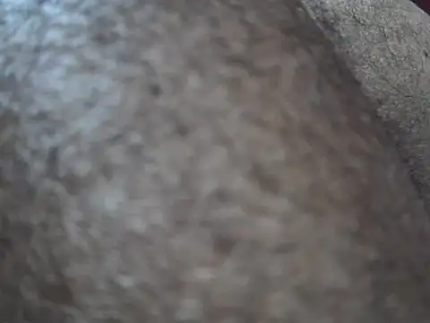 indiboy009 online show from 03-14-25, 10:49