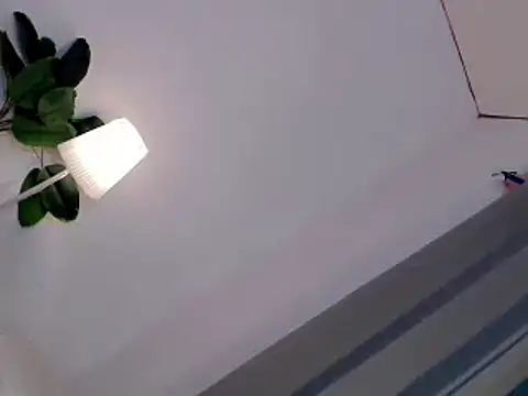 Tasty trap1 online show from 07-20-26, 03:54
