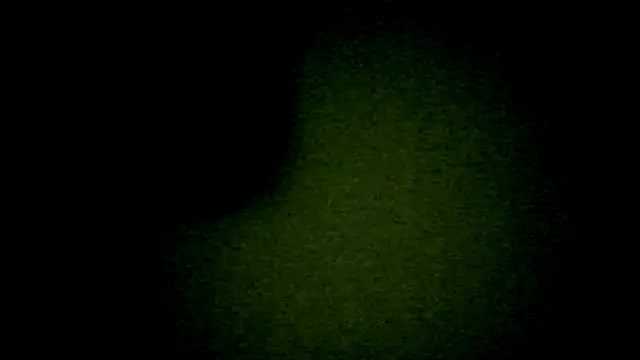 OSCAR103333 online show from 07-31-26, 09:36