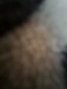 Snapshot of Prashant_4406 chatting on 07-27-26, 07:37 Prashant 4406 online show from 07-27-26, 07:37