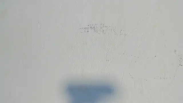 dakotadolly online show from 07-29-26, 08:40