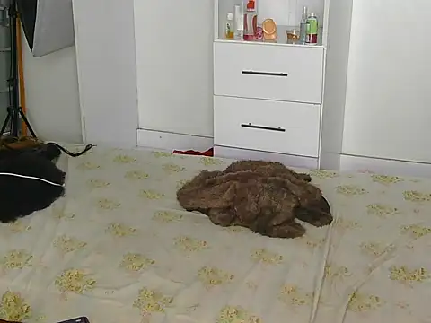 SexyLi  online show from 07-30-26, 02:21