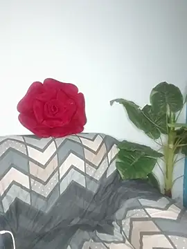 Snapshot of Cupid_Mayra chatting on 08-05-26, 03:04 Cupid Mayra online show from 08-05-26, 03:04