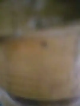Mian Khalifa 143 online show from 07-25-26, 06:00