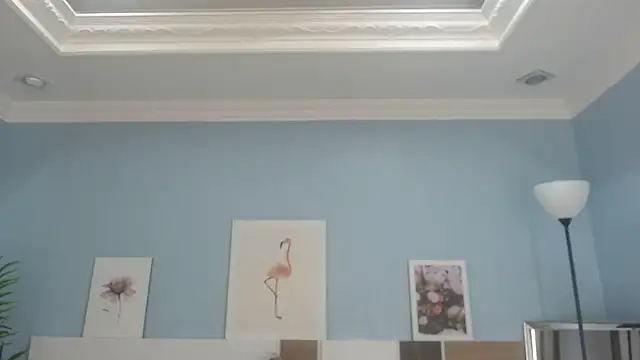 Snapshot of salome_veles chatting on 07-24-26, 05:11 salome veles online show from 07-24-26, 05:11