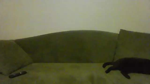 BuddingRose2323 online show from 07-23-26, 02:53