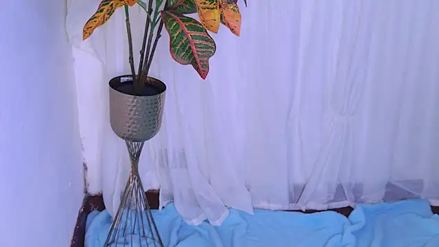 Snapshot of abril_collinz chatting on 07-28-26, 09:59 abril collinz online show from 07-28-26, 09:59
