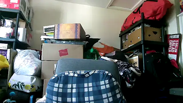 shadowdashlyla online show from 07-29-26, 07:23