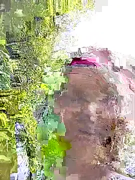 Snapshot of Single-M0m69 chatting on 07-21-26, 10:50 Single-M0m69 online show from 07-21-26, 10:50