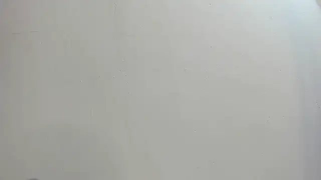 michell sael online show from 07-18-26, 06:56