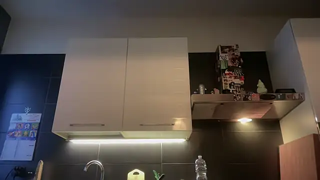 theitalianbear online show from 01-07-26, 02:52