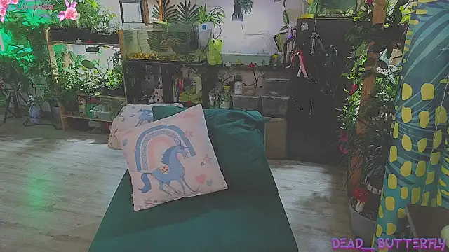 Dead Butterfly online show from 03-13-25, 03:33