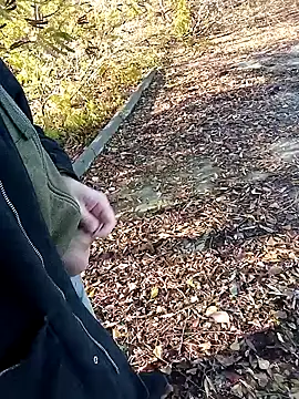 Pokaz2020 online show from 10-27-25, 11:36