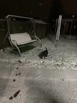 Snapshot of DannaaMeliza chatting on 01-09-25, 10:20 DannaaMeliza online show from 01-09-25, 10:20