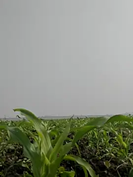 ThethunderPo online show from 02-03-26, 06:51