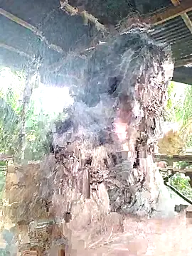 Snapshot of loveuu-bae chatting on 10-23-25, 09:35 loveuu-bae online show from 10-23-25, 09:35