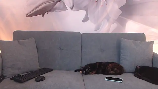 sofiasteven online show from 03-13-26, 11:44