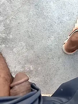 Bengali BULL1 online show from 10-01-25, 10:43