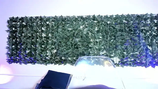 Snapshot of AbbyTaylorr chatting on 03-02-26, 03:20 AbbyTaylorr online show from 03-02-26, 03:20