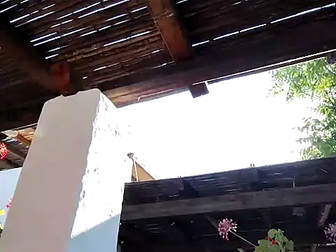 Perv10 online show from 06-22-26, 05:37