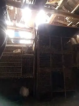 sarpe4 online show from 01-10-26, 08:16