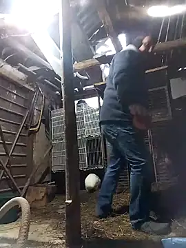 sarpe4 online show from 02-21-26, 05:19