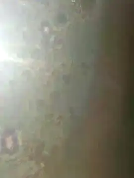 misscectito13 online show from 11-18-25, 10:31